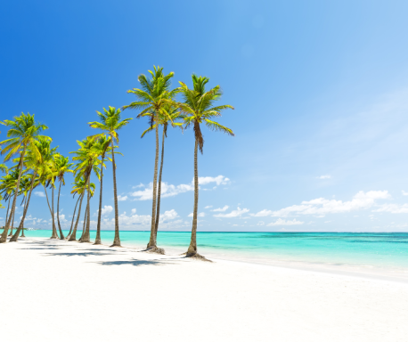 Costa de Miches, República Dominicana Playa de arena blanca con palmeras y mar turquesa bajo un cielo despejado.