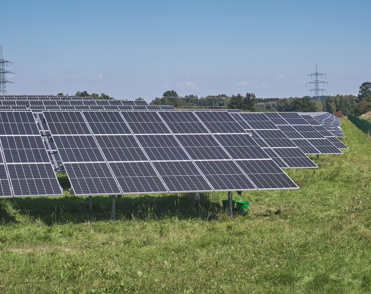 Huerto solar. Placas fotovoltaicas